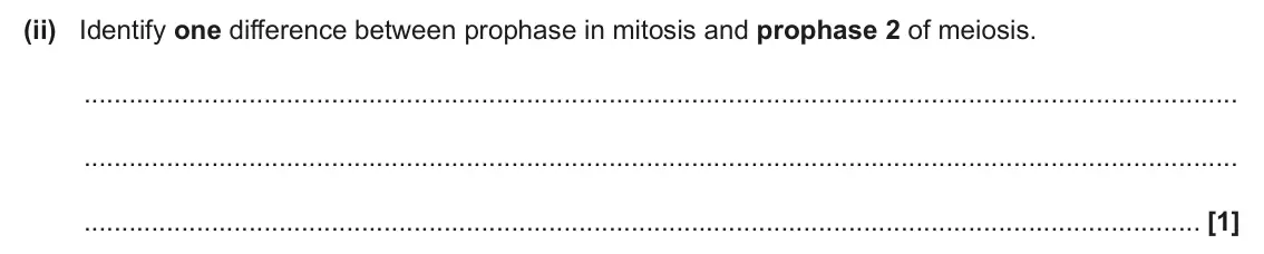 June 2024 Paper 2, question 21(b)(ii): Identify one difference between prophase in mitosis and prophase 2 of meiosis. [1]