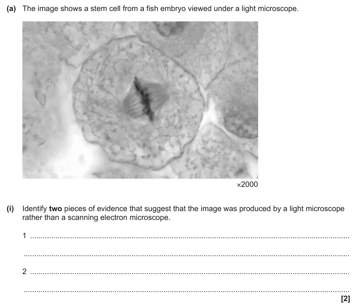 June 2025 Paper 2, question 16(a)(i): Identify two pieces of evidence that suggest that the image was produced by a light microscope rather than a scanning electron microscope. 1 2 [2]