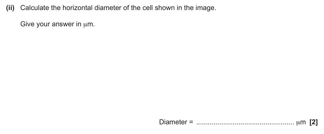 June 2025 Paper 2, question 16(a)(ii): Calculate the horizontal diameter of the cell shown in the image. Give your answer in μm. Diameter = μm [2]