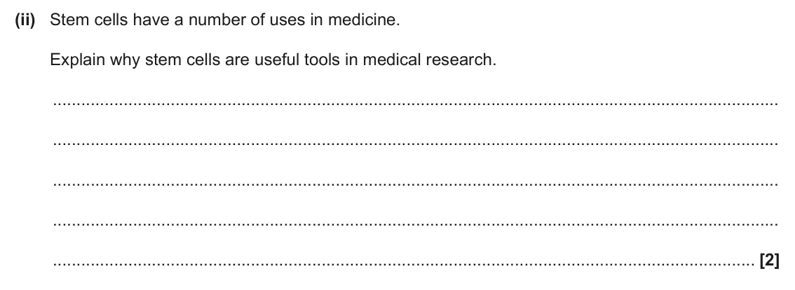 June 2025 Paper 2, question 16(b)(ii): Stem cells have a number of uses in medicine. Explain why stem cells are useful tools in medical research. [2]