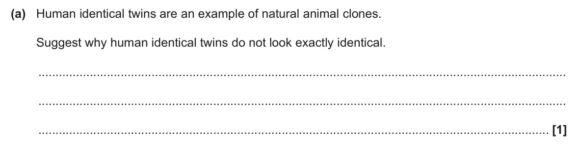 June 2025 Paper 2, question 17(a): Human identical twins are an example of natural animal clones. Suggest why human identical twins do not look exactly identical. [1]