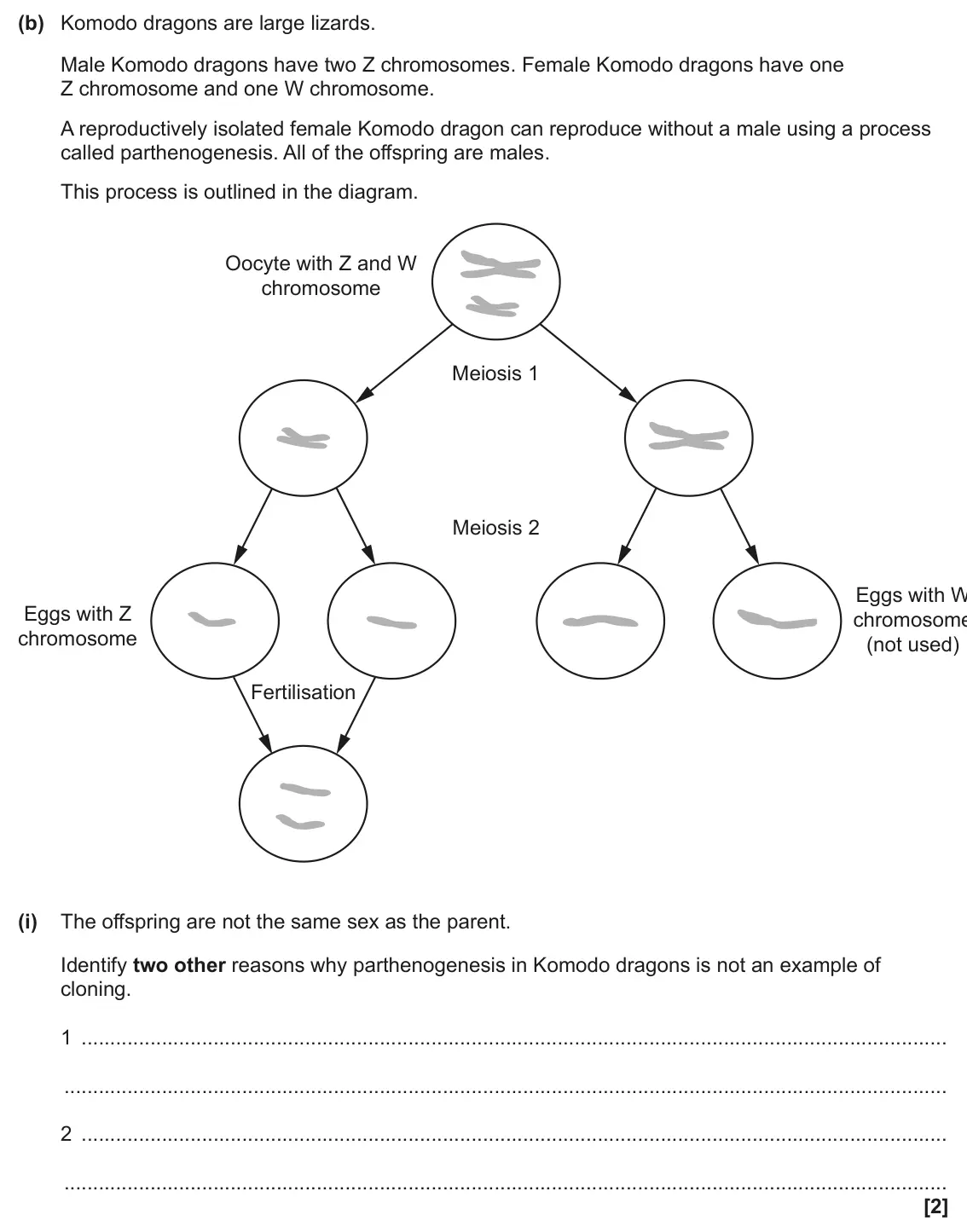 June 2025 Paper 2, question 17(b)(i): The offspring are not the same sex as the parent. Identify two other reasons why parthenogenesis in Komodo dragons is not an example of cloning. 1 2 [2]