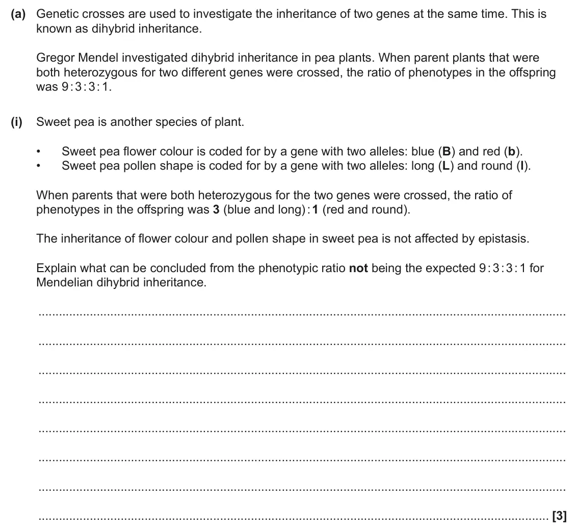 June 2025 Paper 2, question 20(a)(i): Sweet pea is another species of plant. • Sweet pea flower colour is coded for by a gene with two alleles: blue (B) and red (b). • Sweet pea pollen shape is code