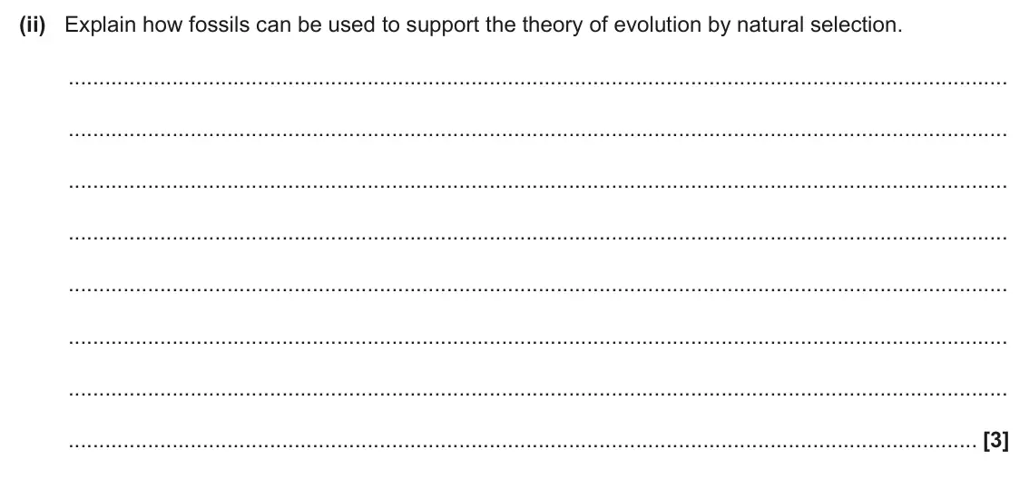 June 2025 Paper 2, question 21(c)(ii): Explain how fossils can be used to support the theory of evolution by natural selection. [3]