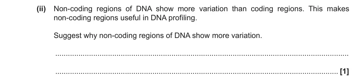 November 2021 Paper 2, question 16(c)(ii): Non-coding regions of DNA show more variation than coding regions. This makes non-coding regions useful in DNA profiling. Suggest why non-coding regions of DNA