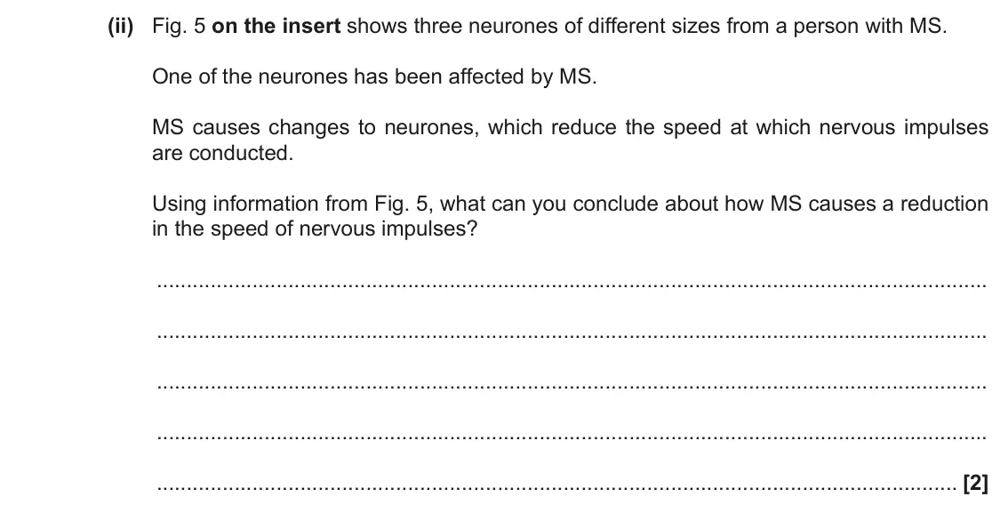 June 2017 Paper 3, question 5(a)(ii): Fig. 5 on the insert shows three neurones of different sizes from a person with MS. One of the neurones has been affected by MS. MS causes changes to neurones,
