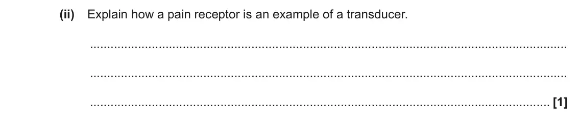 June 2019 Paper 3, question 2(b)(ii): Explain how a pain receptor is an example of a transducer. [1]