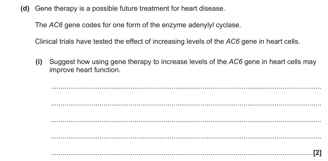 June 2022 Paper 3, question 1(d)(i): Suggest how using gene therapy to increase levels of the AC6 gene in heart cells may improve heart function. [2]