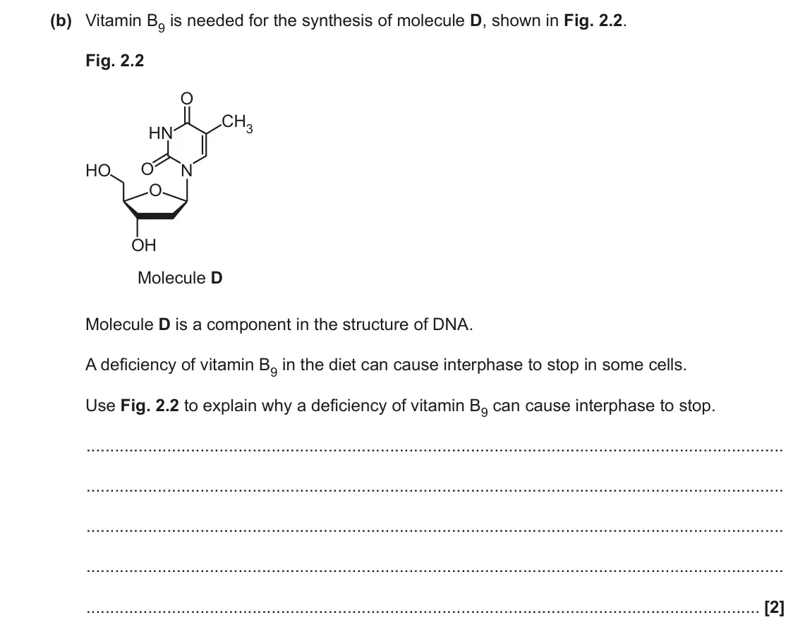 June 2023 Paper 3, question 2(b): Vitamin B9 is needed for the synthesis of molecule D, shown in Fig. 2.2. Fig. 2.2 O CH3 HN O HO N O OH Molecule D Molecule D is a component in the structure of