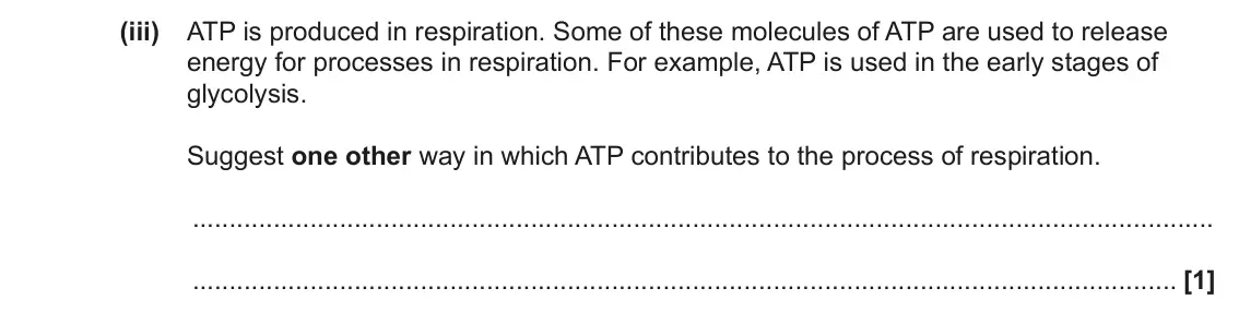 June 2023 Paper 3, question 2(c)(iii): ATP is produced in respiration. Some of these molecules of ATP are used to release energy for processes in respiration. For example, ATP is used in the early st