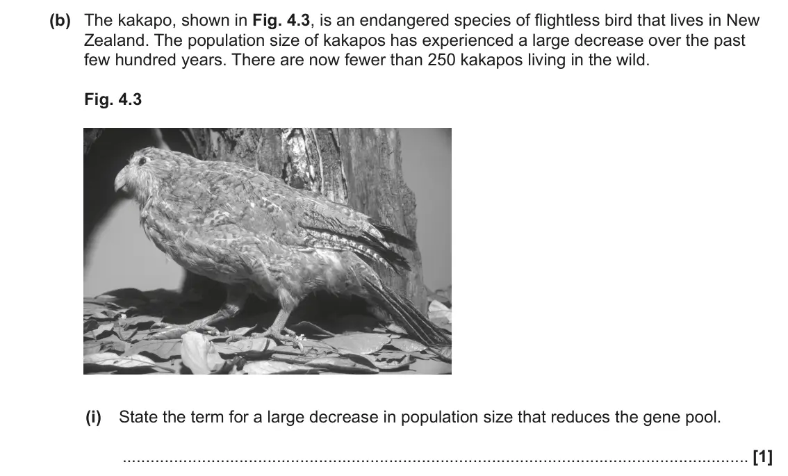 June 2023 Paper 3, question 4(b)(i): State the term for a large decrease in population size that reduces the gene pool. [1]