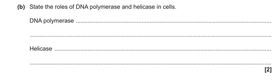 June 2023 Paper 3, question 7(b): State the roles of DNA polymerase and helicase in cells. DNA polymerase Helicase [2]