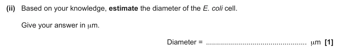 June 2024 Paper 3, question 1(a)(ii): Based on your knowledge, estimate the diameter of the E. coli cell. Give your answer in µm. Diameter = µm [1]