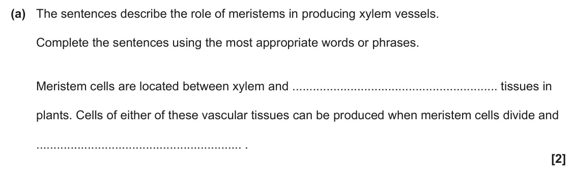 June 2024 Paper 3, question 3(a): The sentences describe the role of meristems in producing xylem vessels. Complete the sentences using the most appropriate words or phrases. Meristem cells are
