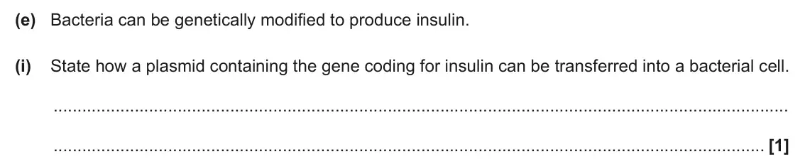 June 2024 Paper 3, question 5(e)(i): State how a plasmid containing the gene coding for insulin can be transferred into a bacterial cell. [1]