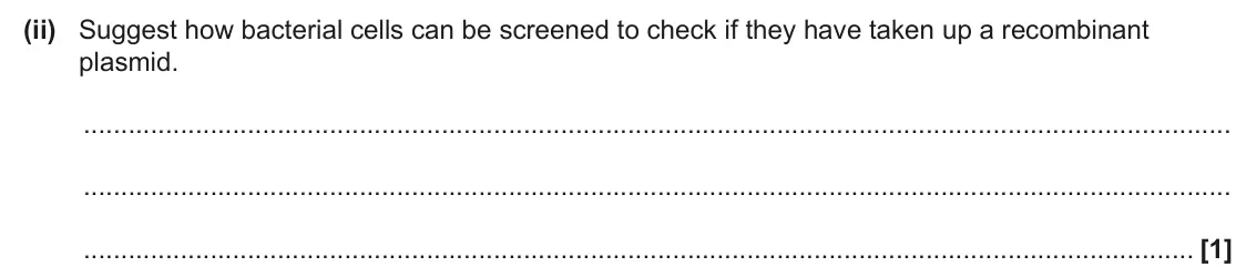 June 2024 Paper 3, question 5(e)(ii): Suggest how bacterial cells can be screened to check if they have taken up a recombinant plasmid. [1]