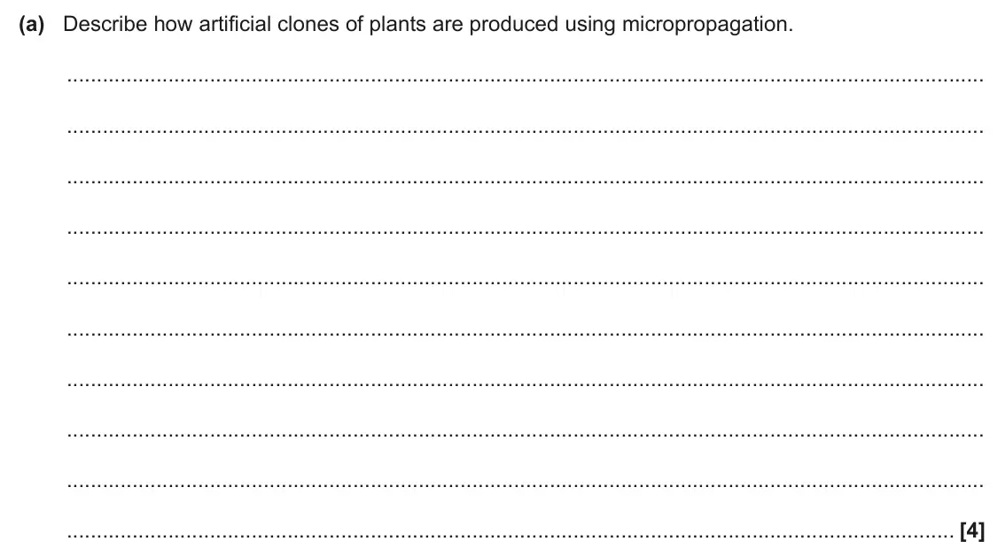 June 2024 Paper 3, question 6(a): Describe how artificial clones of plants are produced using micropropagation. [4]
