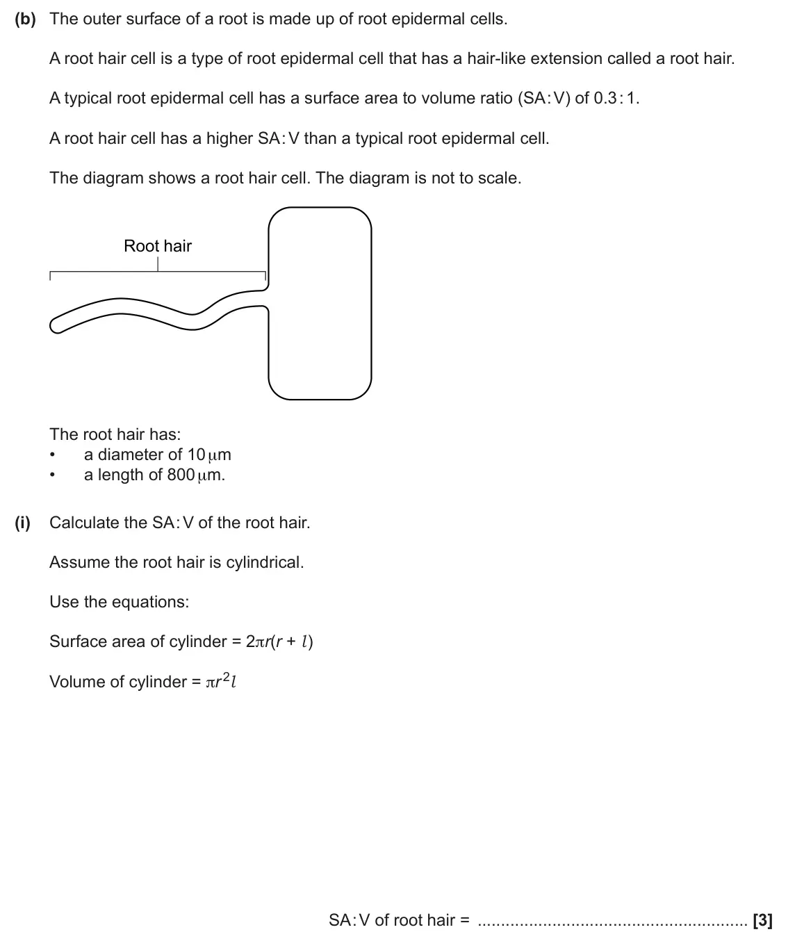 June 2025 Paper 3, question 1(b)(i): Calculate the SA : V of the root hair. Assume the root hair is cylindrical. Use the equations: Surface area of cylinder = 2πr(r + l ) Volume of cylinder = πr 2l