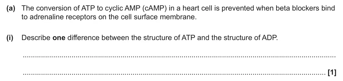 June 2025 Paper 3, question 2(a)(i): Describe one difference between the structure of ATP and the structure of ADP. [1]