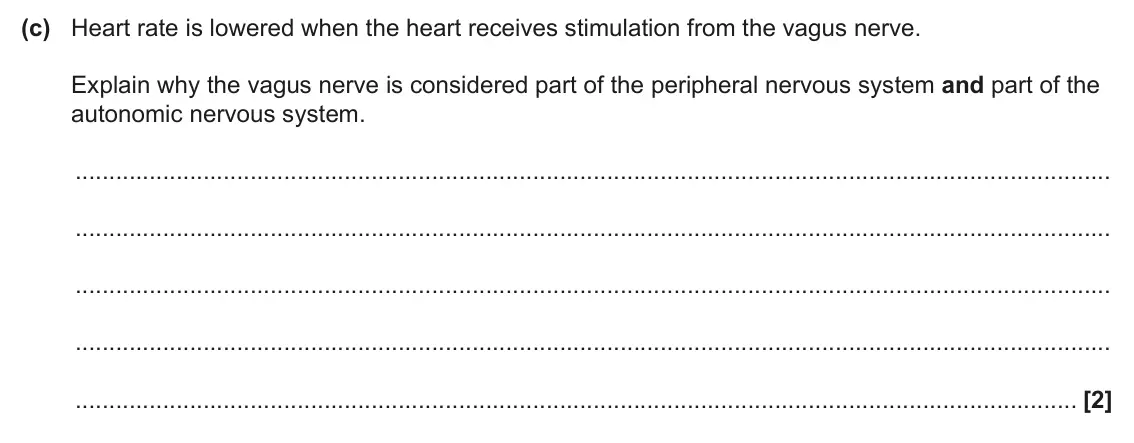 June 2025 Paper 3, question 2(c): Heart rate is lowered when the heart receives stimulation from the vagus nerve. Explain why the vagus nerve is considered part of the peripheral nervous system