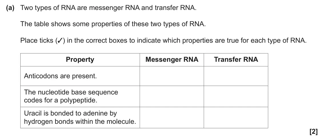 June 2025 Paper 3, question 4(a): Two types of RNA are messenger RNA and transfer RNA. The table shows some properties of these two types of RNA. Place ticks (3) in the correct boxes to indicate