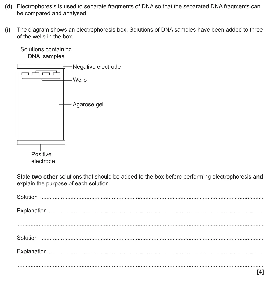 June 2025 Paper 3, question 4(d)(i): The diagram shows an electrophoresis box. Solutions of DNA samples have been added to three of the wells in the box. Solutions containing DNA samples Negative e