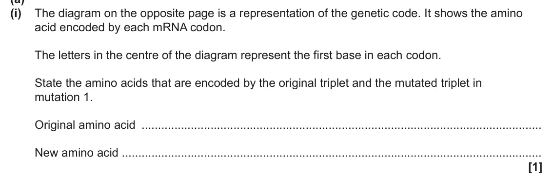 June 2025 Paper 3, question 6(a)(i): The diagram on the opposite page is a representation of the genetic code. It shows the amino acid encoded by each mRNA codon. The letters in the centre of the d