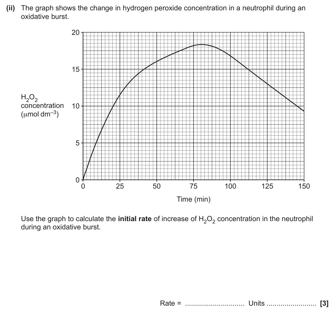 June 2025 Paper 3, question 7(b)(ii): The graph shows the change in hydrogen peroxide concentration in a neutrophil during an oxidative burst. 20 15 H2O2 concentration 10 (μmol dm–3) 5 0 0 25 50 75
