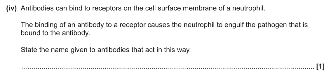 June 2025 Paper 3, question 7(b)(iv): Antibodies can bind to receptors on the cell surface membrane of a neutrophil. The binding of an antibody to a receptor causes the neutrophil to engulf the path