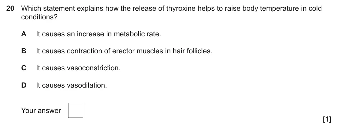 June 2022 Paper 1, question 20: Which statement explains how the release of thyroxine helps to raise body temperature in cold conditions? A It causes an increase in metabolic rate. B It causes