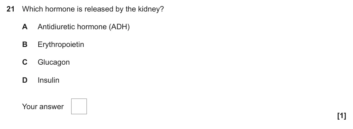 June 2022 Paper 1, question 21: Which hormone is released by the kidney? A Antidiuretic hormone (ADH) B Erythropoietin C Glucagon D Insulin Your answer [1]