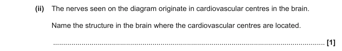 June 2022 Paper 1, question 34(a)(ii): The nerves seen on the diagram originate in cardiovascular centres in the brain. Name the structure in the brain where the cardiovascular centres are located. [
