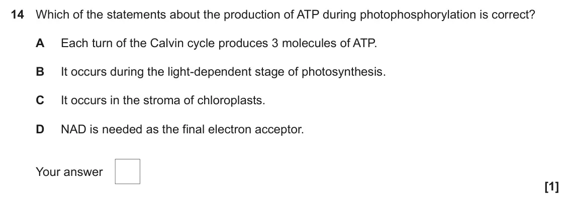 June 2023 Paper 1, question 14: Which of the statements about the production of ATP during photophosphorylation is correct? A Each turn of the Calvin cycle produces 3 molecules of ATP. B It oc