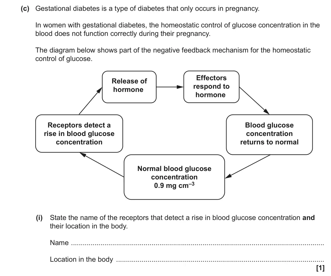 June 2023 Paper 1, question 35(c)(i): State the name of the receptors that detect a rise in blood glucose concentration and their location in the body. Name Location in the body [1]