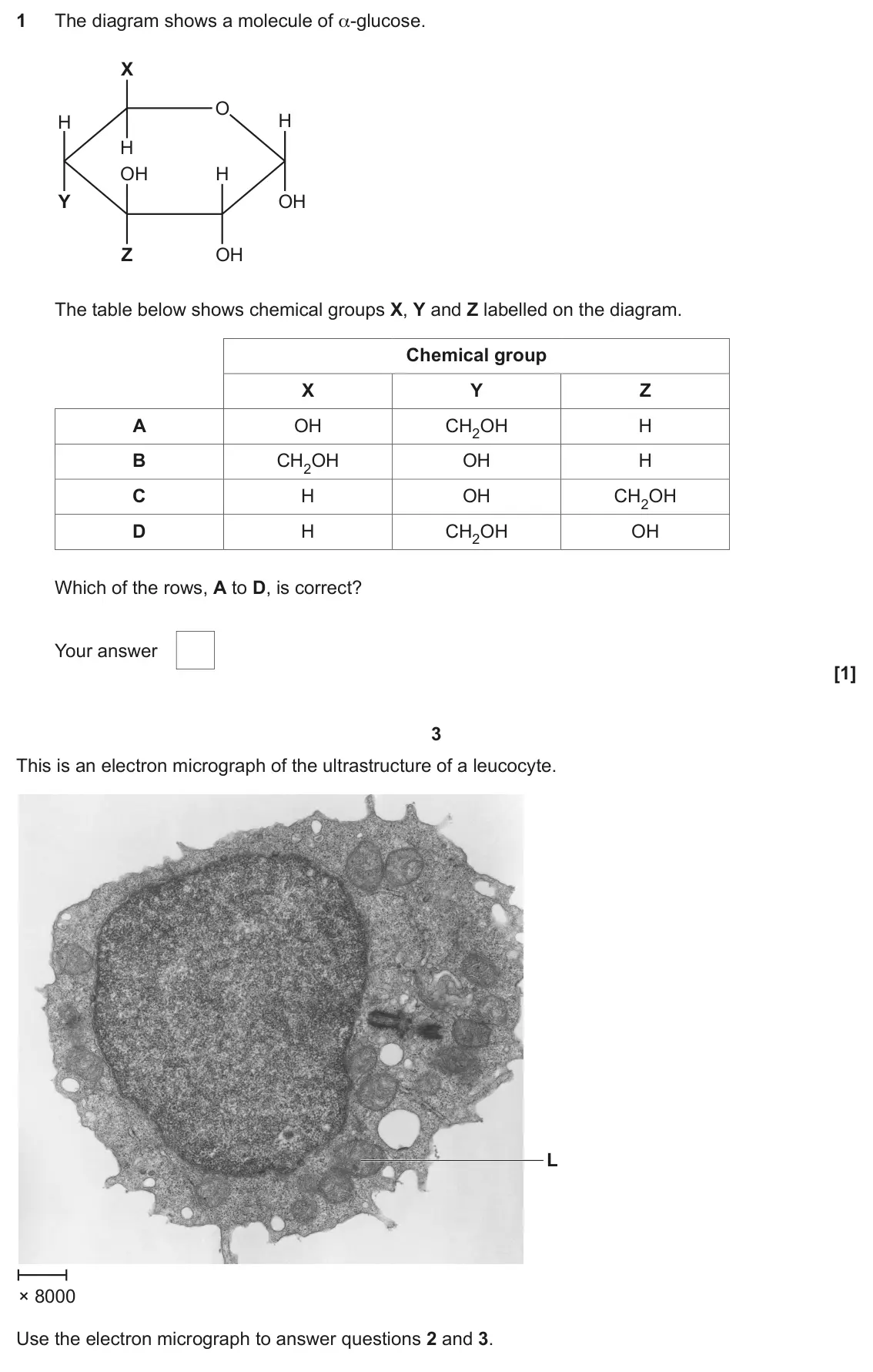 June 2024 Paper 1, question 1: The diagram shows a molecule of α-glucose. X O H H H OH H Y OH Z OH The table below shows chemical groups X, Y and Z labelled on the diagram. Chemical group X Y