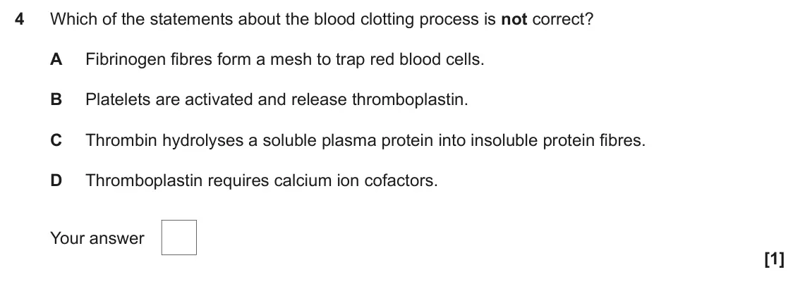 June 2024 Paper 1, question 4: Which of the statements about the blood clotting process is not correct? A Fibrinogen fibres form a mesh to trap red blood cells. B Platelets are activated and 
