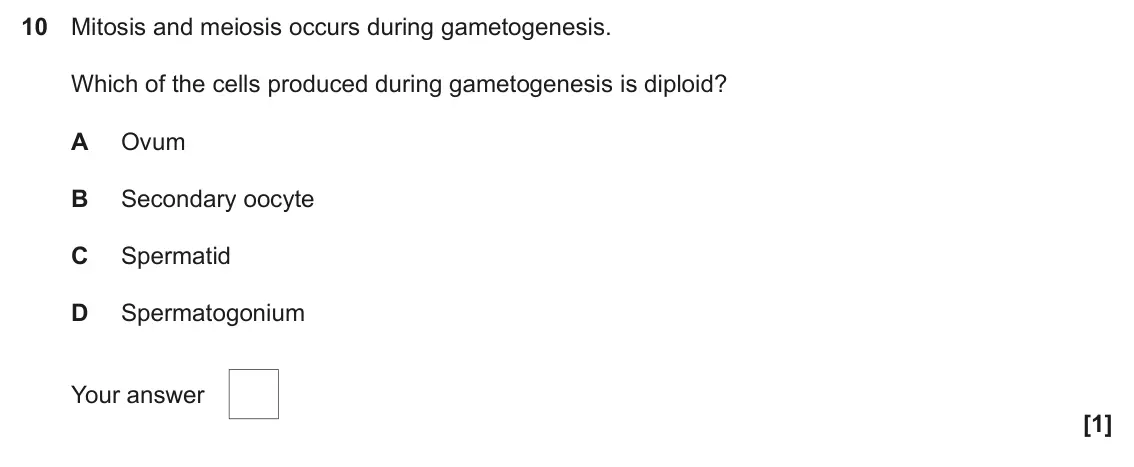 June 2024 Paper 1, question 10: Mitosis and meiosis occurs during gametogenesis. Which of the cells produced during gametogenesis is diploid? A Ovum B Secondary oocyte C Spermatid D Spermatogo