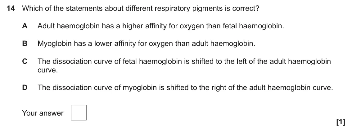 June 2024 Paper 1, question 14: Which of the statements about different respiratory pigments is correct? A Adult haemoglobin has a higher affinity for oxygen than fetal haemoglobin. B Myoglobi