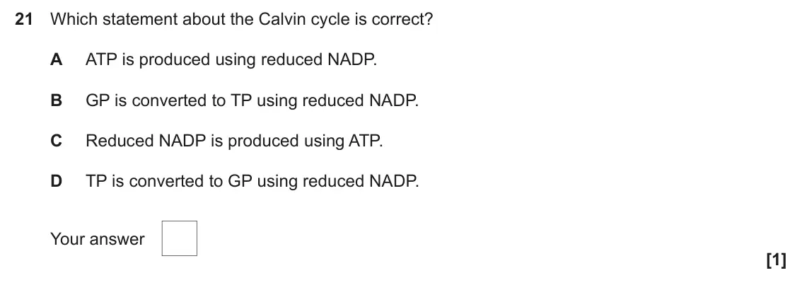 June 2024 Paper 1, question 21: Which statement about the Calvin cycle is correct? A ATP is produced using reduced NADP. B GP is converted to TP using reduced NADP. C Reduced NADP is produced
