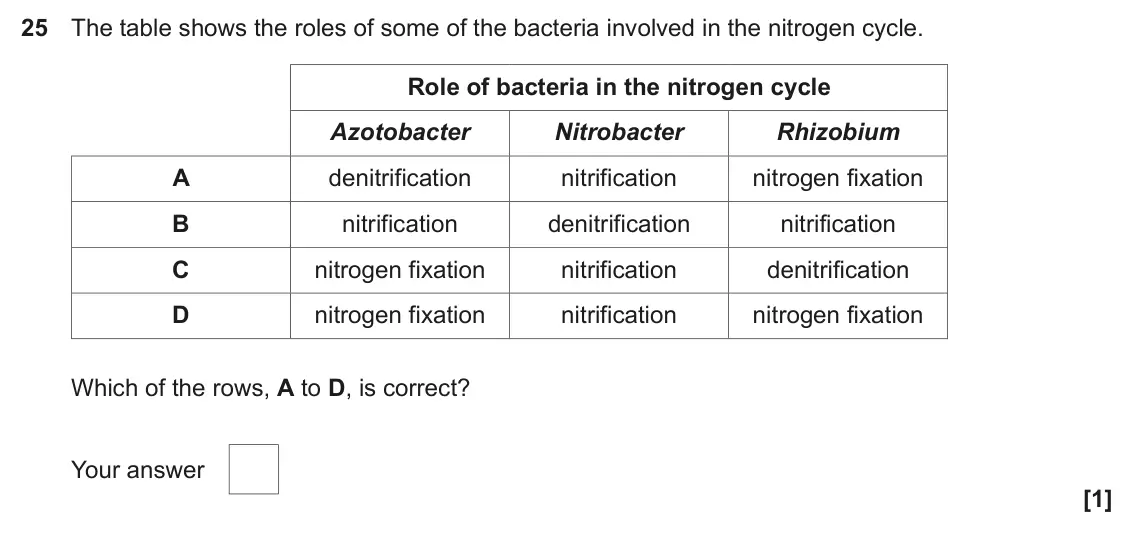 June 2024 Paper 1, question 25: The table shows the roles of some of the bacteria involved in the nitrogen cycle. Role of bacteria in the nitrogen cycle Azotobacter Nitrobacter Rhizobium A den
