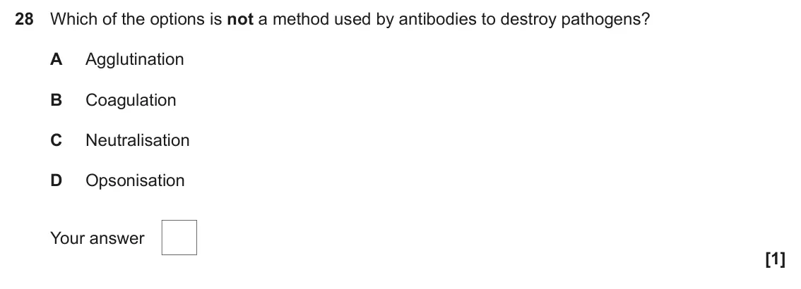 June 2024 Paper 1, question 28: Which of the options is not a method used by antibodies to destroy pathogens? A Agglutination B Coagulation C Neutralisation D Opsonisation Your answer [1]
