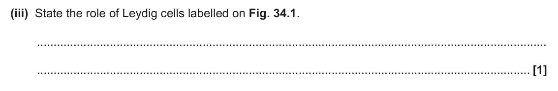 June 2024 Paper 1, question 34(a)(iii): State the role of Leydig cells labelled on Fig. 34.1. [1]