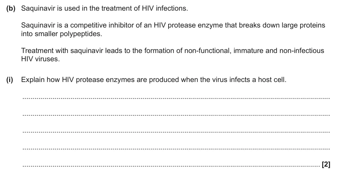 June 2024 Paper 1, question 36(b)(i): Explain how HIV protease enzymes are produced when the virus infects a host cell. [2]