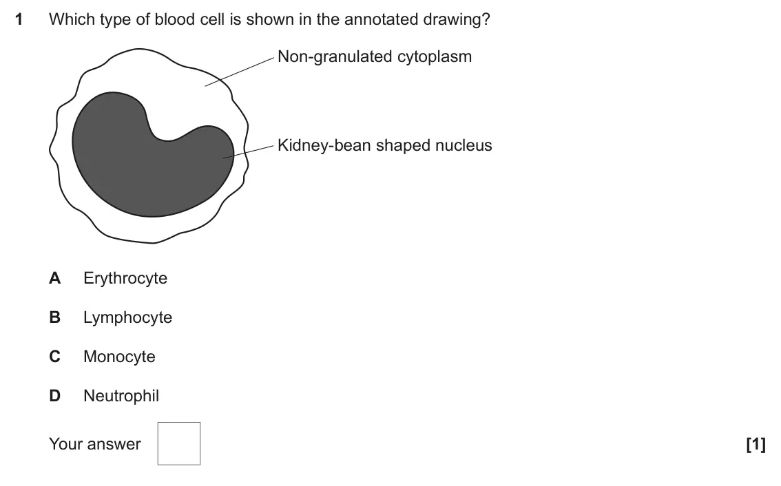 OCR A-Level Biology B Exam Questions by Topic | Plumi