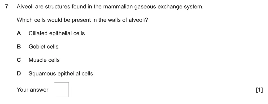 June 2025 Paper 1, question 7: Alveoli are structures found in the mammalian gaseous exchange system. Which cells would be present in the walls of alveoli? A Ciliated epithelial cells B Goble