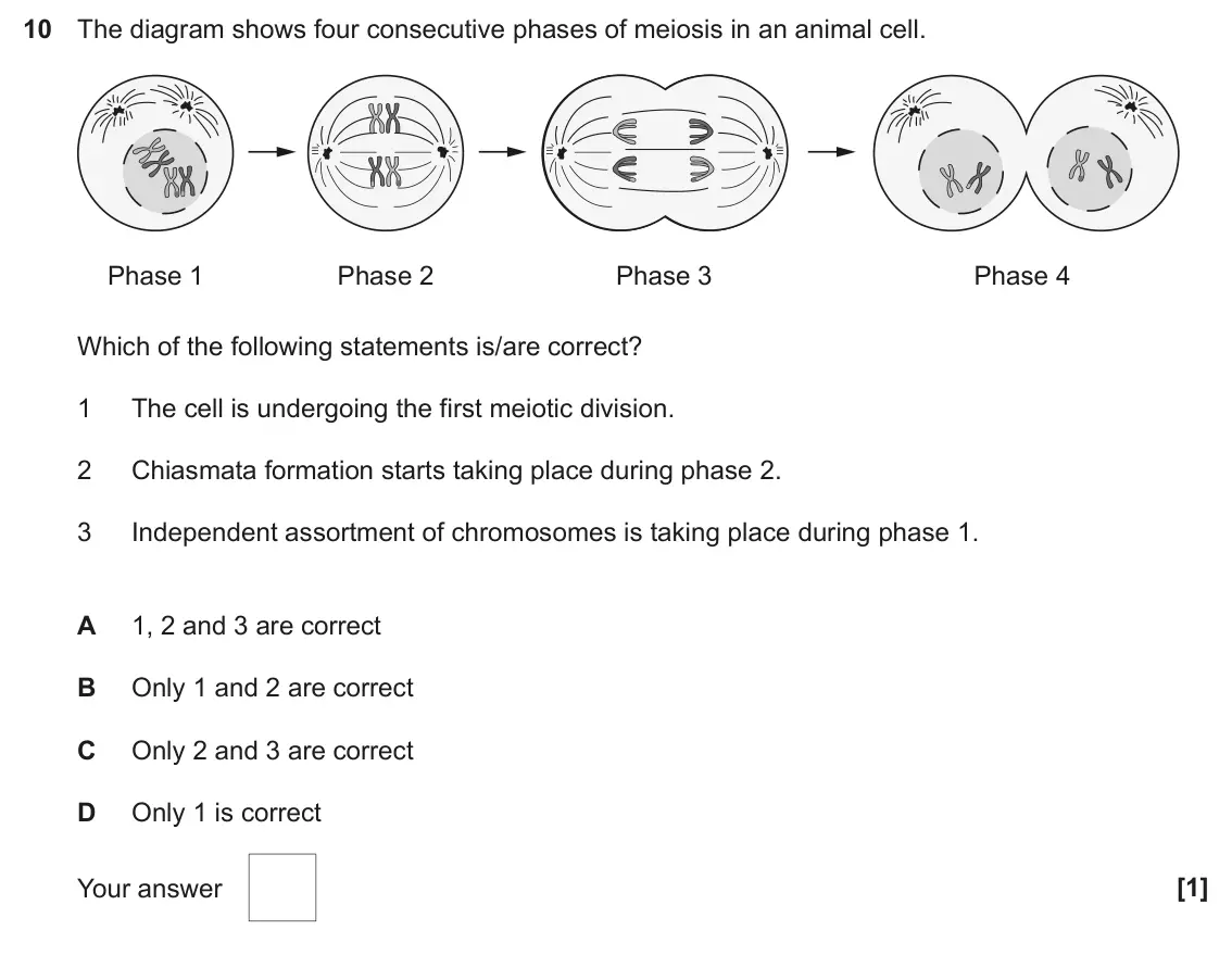 June 2025 Paper 1, question 10: The diagram shows four consecutive phases of meiosis in an animal cell. Phase 1 Phase 2 Phase 3 Phase 4 Which of the following statements is/are correct? 1 The 