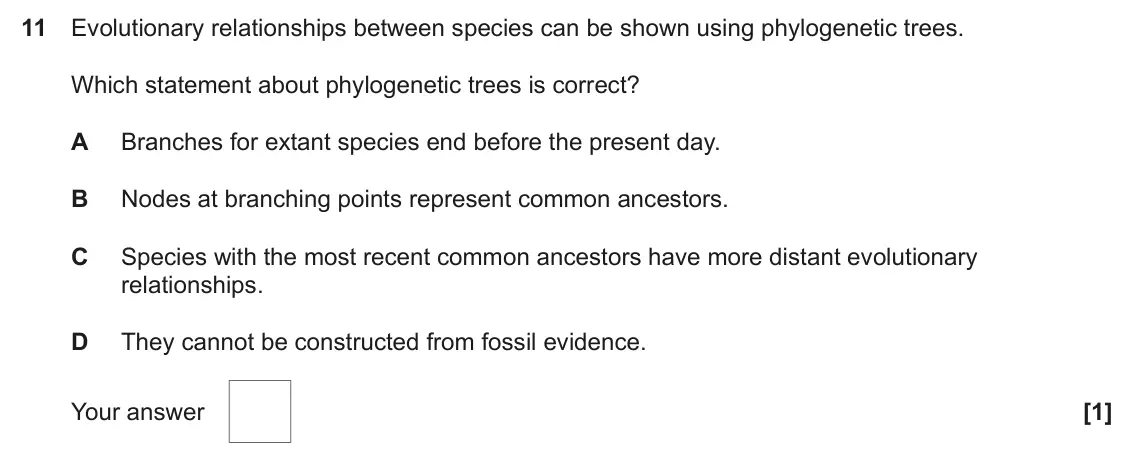 June 2025 Paper 1, question 11: Evolutionary relationships between species can be shown using phylogenetic trees. Which statement about phylogenetic trees is correct? A Branches for extant spe