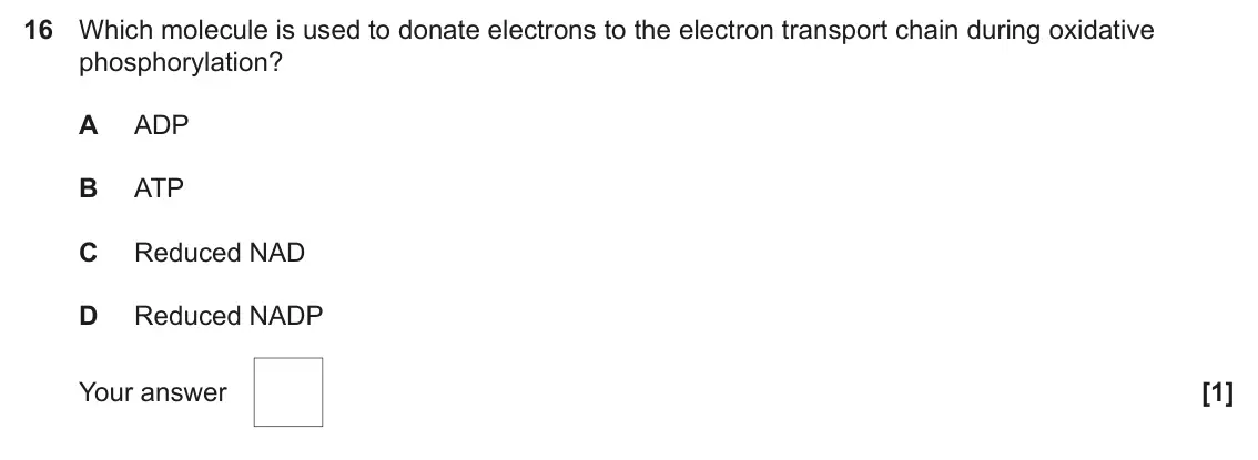 June 2025 Paper 1, question 16: Which molecule is used to donate electrons to the electron transport chain during oxidative phosphorylation? A ADP B ATP C Reduced NAD D Reduced NADP [1] Your a