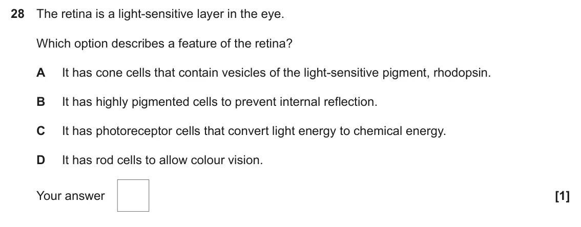 June 2025 Paper 1, question 28: The retina is a light-sensitive layer in the eye. Which option describes a feature of the retina? A It has cone cells that contain vesicles of the light-sensiti