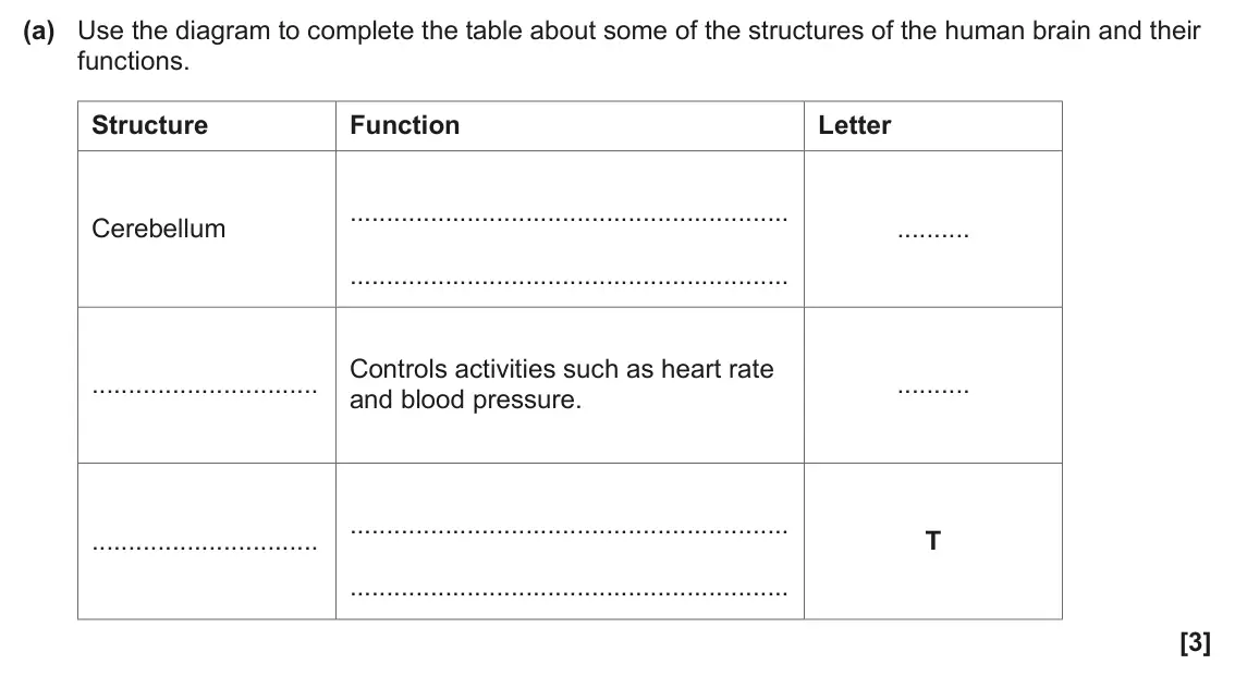 June 2025 Paper 1, question 31(a): Use the diagram to complete the table about some of the structures of the human brain and their functions. Structure Function Letter Cerebellum Controls activit